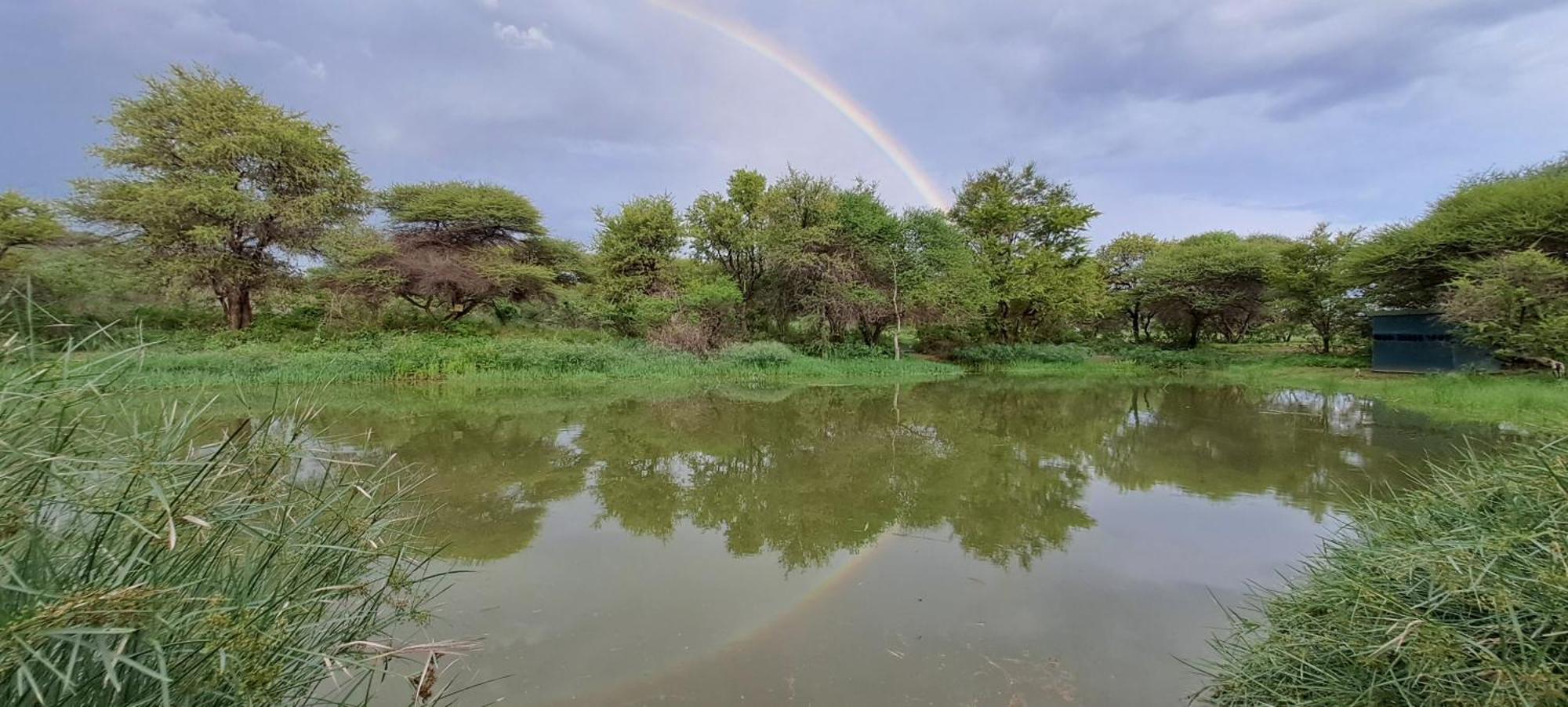 Woodlands Stop Over&Lodge Francistown Eksteriør billede