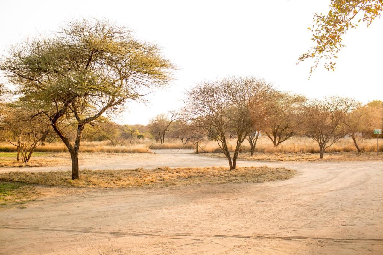 Woodlands Stop Over&Lodge Francistown Eksteriør billede